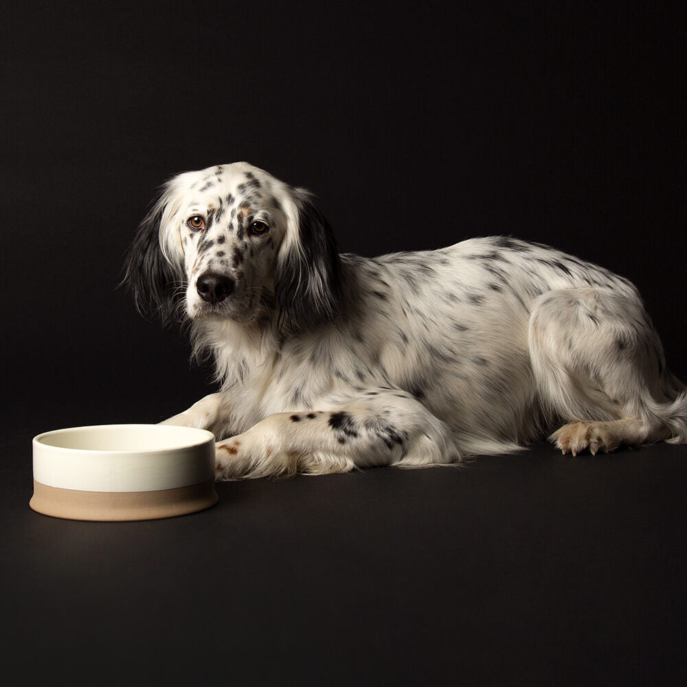 Dog Bowl - Cream