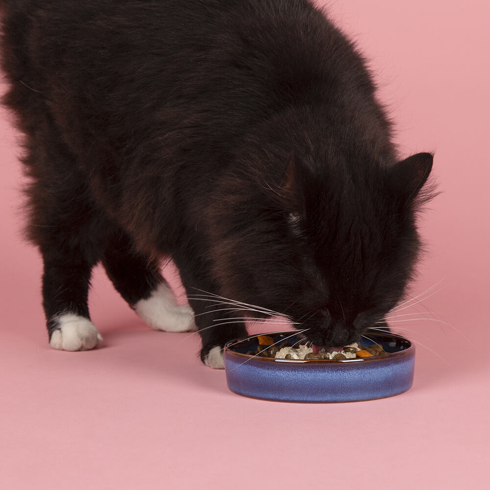 Scruffs Reactive Glaze Pet Saucer - 13cm Midnight Blue