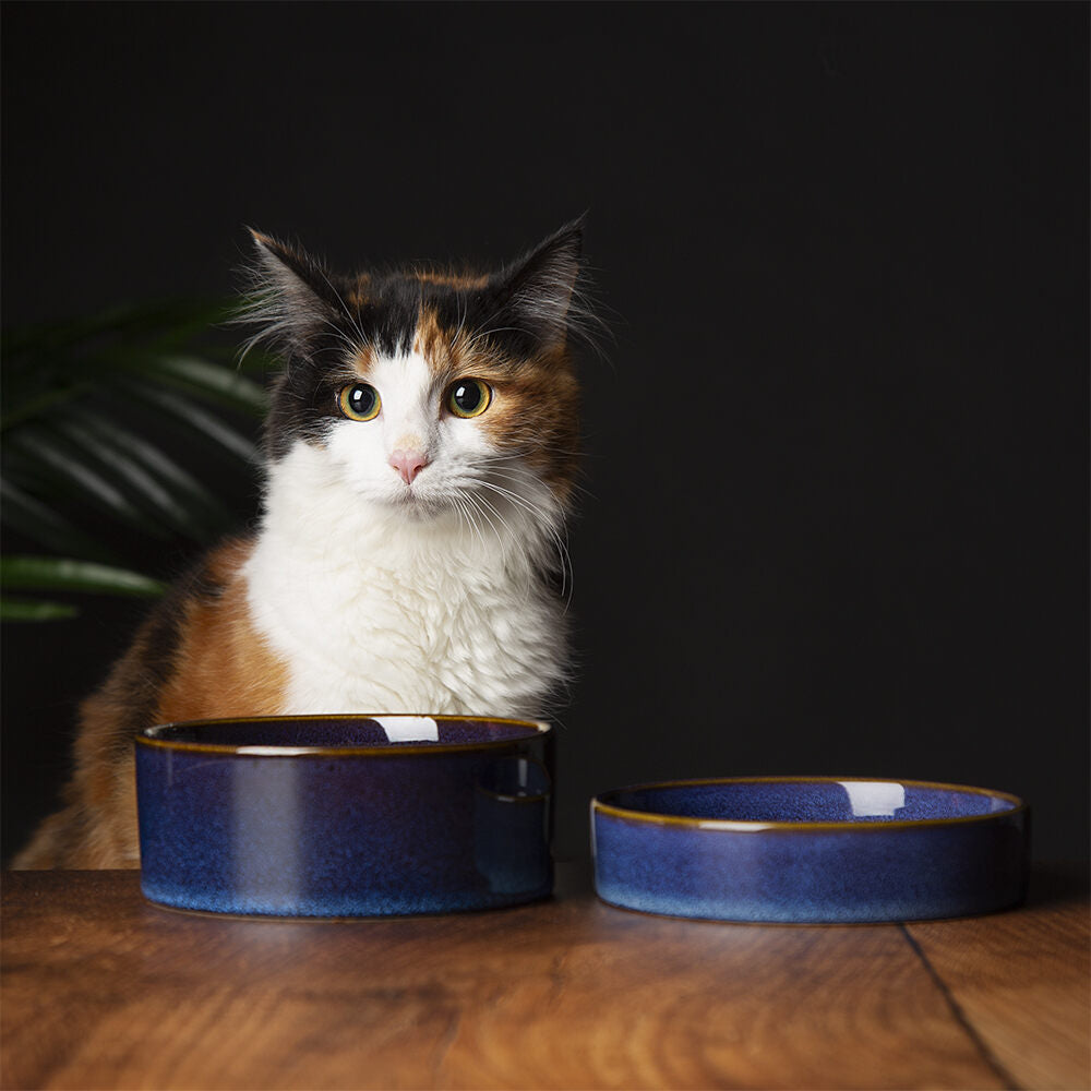 Scruffs Reactive Glaze Pet Saucer - 13cm Midnight Blue