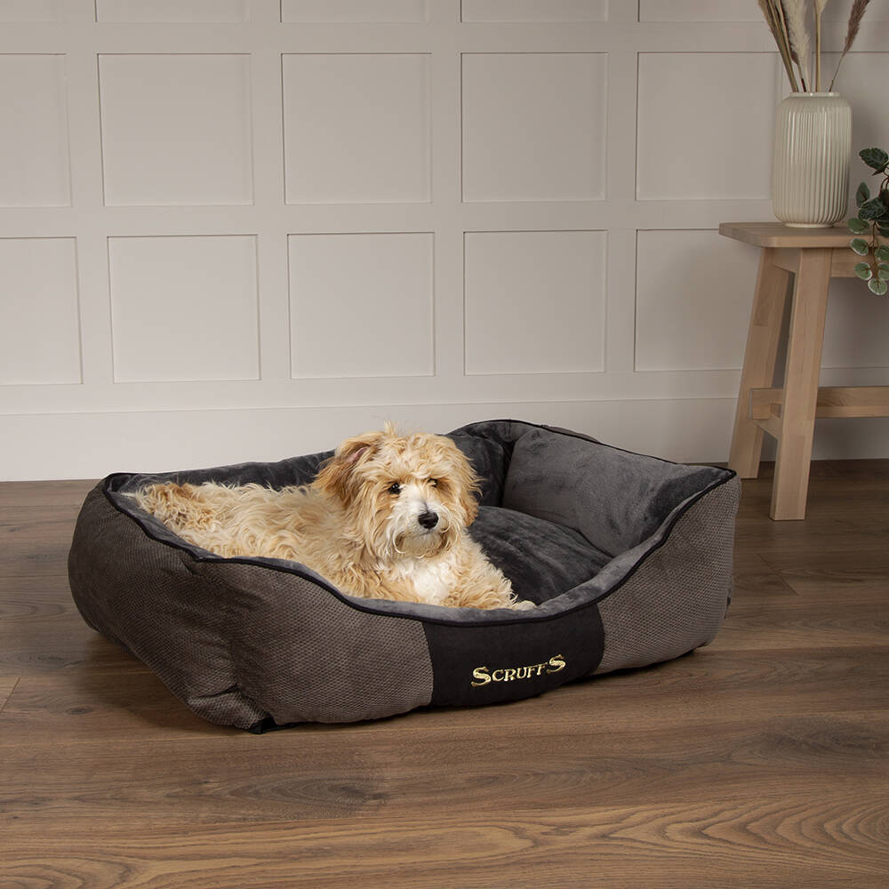 Scruffs Chester Grey Box Bed - Medium (Vacuum Packed)